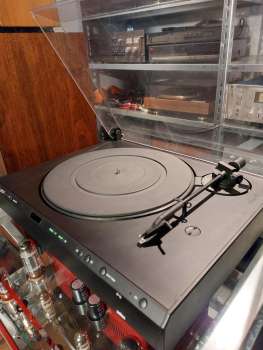 Preview: BRAUN P 3 Plattenspieler in schwarz mit Ortofon DD Strobo Pitch