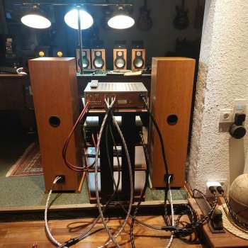 DYNAUDIO Lautsprecher Modell XENNON 3/100 3-Wege